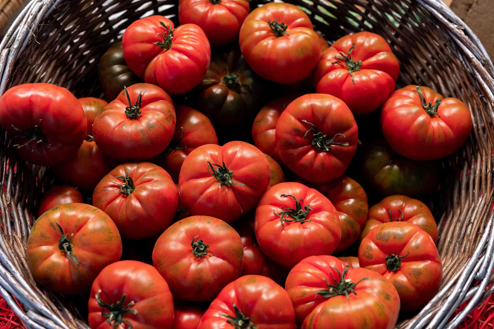 Are Tomatoes Keto? Yes, but find out when they are not